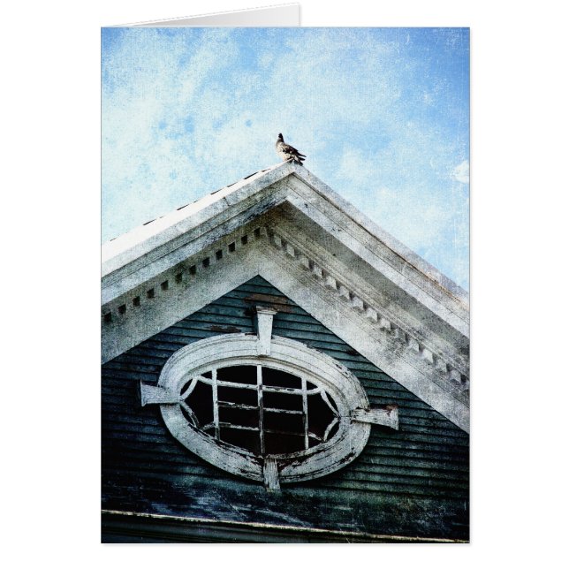 Old Window and a Pigeon (Front)