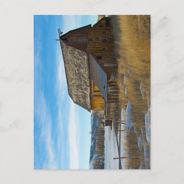 Old Wood Barn in Winter Postcard (Front)