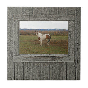 Old wood window paint horse tile