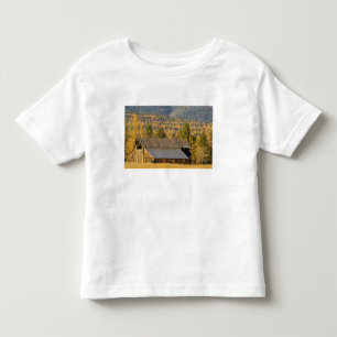 Old wooden barn with autumn tamaracks near toddler T-Shirt