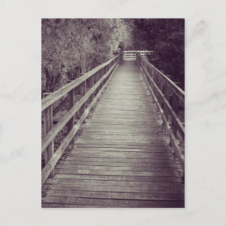 Old Wooden Boardwalk Postcard