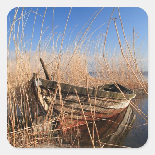 Old wooden boat in the reeds square sticker
