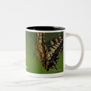 Old World Swallowtail Flying Two-Tone Coffee Mug