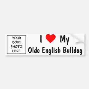 Olde English Bulldog Bumper Sticker