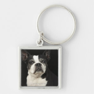 Older Bosten Terrier on black background Key Ring