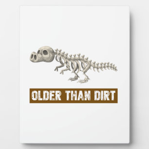 Older than dirt plaque