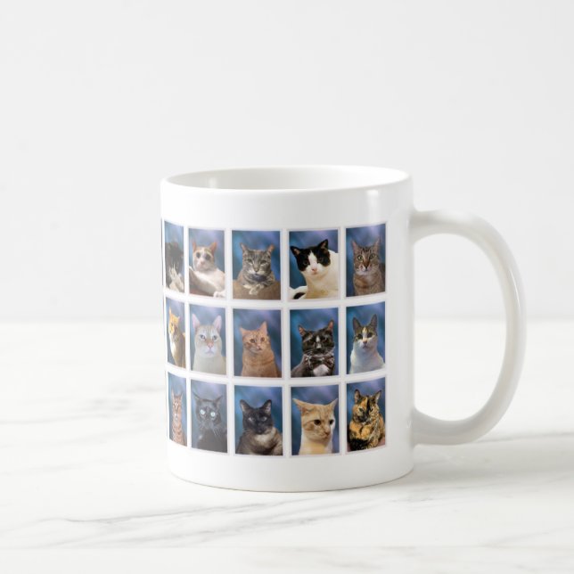 (Older Version) The Boring Group Cat Class of 2023 Coffee Mug (Right)