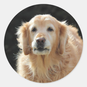 Oldie Goldie Classic Round Sticker