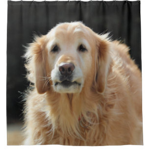 Oldie Goldie Shower Curtain