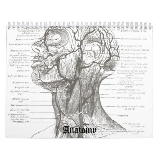 OldSchool Anatomy Calendar