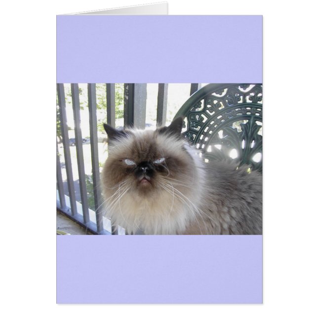 Ole' Blue Eyes (Front)