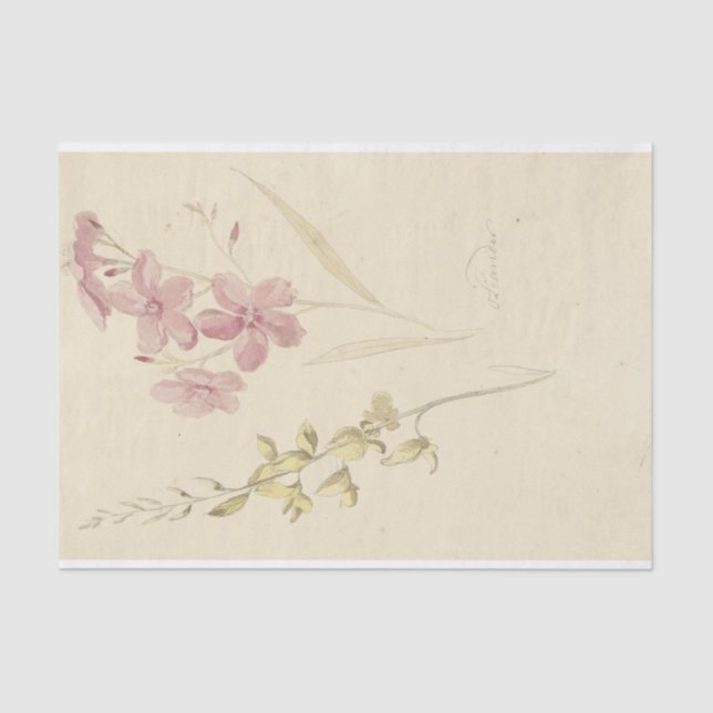 Oleander en Brem by Elias van Nijmegen Tissue Paper (Front)