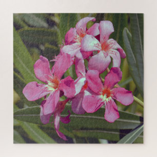 Oleander Flower Jigsaw Puzzle