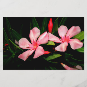 Oleander Stationery