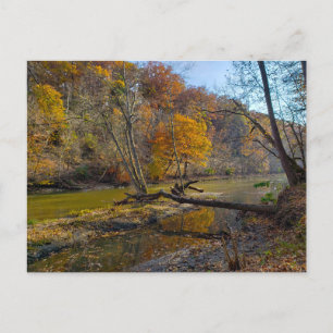Olentangy River in Fall, Highbanks Metro park, OH Postcard