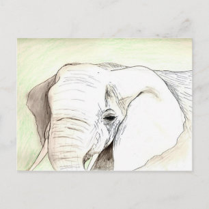 Olifant Postcard