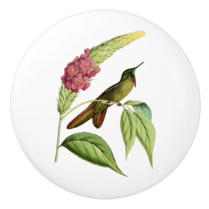 Olivaceous Thorn Bill Hummingbird Ceramic Knob