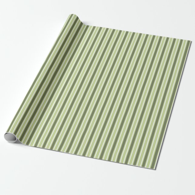 Olive and white candy stripes wrapping paper (Unrolled)