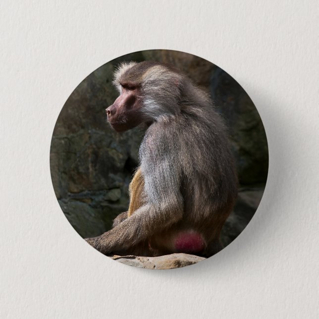 Olive Baboon 6 Cm Round Badge (Front)