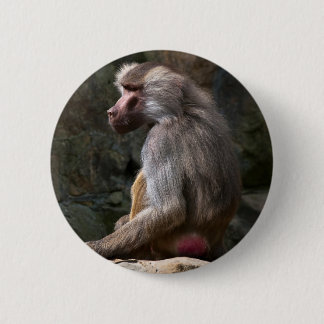 Olive Baboon 6 Cm Round Badge