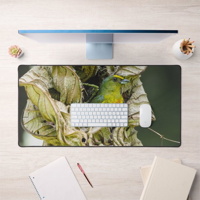Olive Backed Euphonia, Wildlife Avian Photography Desk Mat (Office 1)
