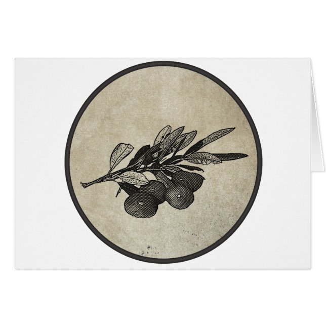 Olive Branch (Front Horizontal)