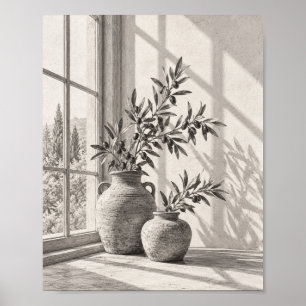 Olive Branches By Sunlit Window Graphite 14 Poster