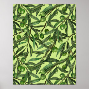 Olive branches on honeydew green poster
