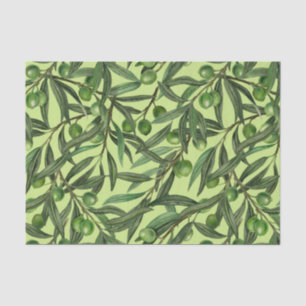 Olive branches on honeydew green tissue paper