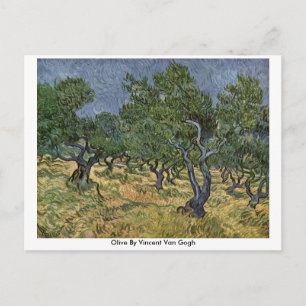 Olive By Vincent Van Gogh Postcard