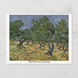 Olive By Vincent Van Gogh Postcard