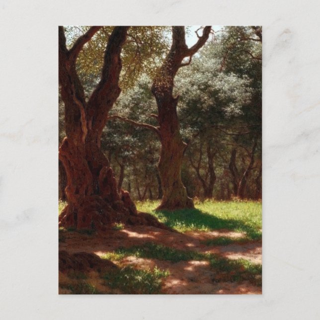 Olive Forest in Cap Saint Martin Holiday Postcard (Front)