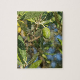 olive fruit jigsaw puzzle