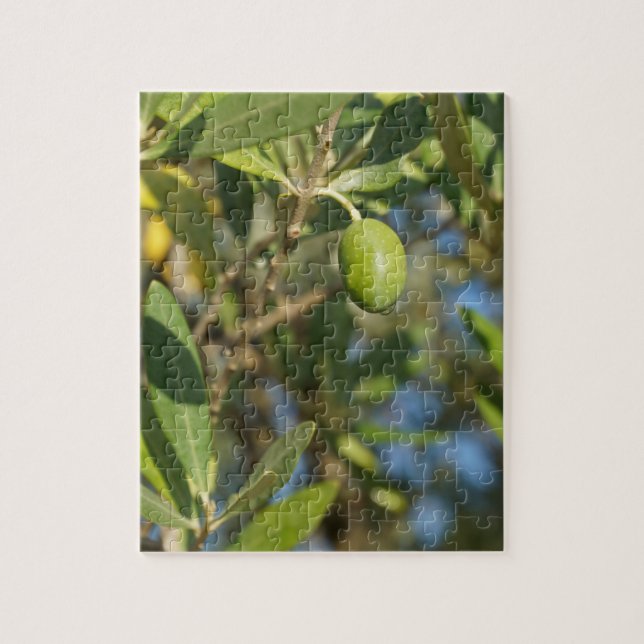 olive fruit jigsaw puzzle (Vertical)