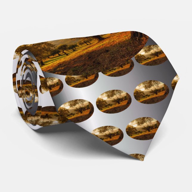 Olive Garden Plantation Sunset In Fall Tie (Rolled)