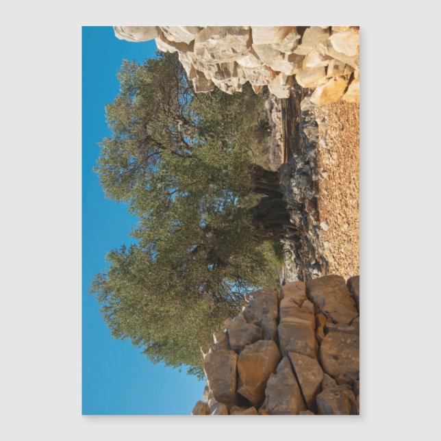 Olive Gardens of Lun (Front)