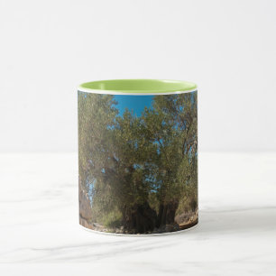 Olive Gardens of Lun Mug