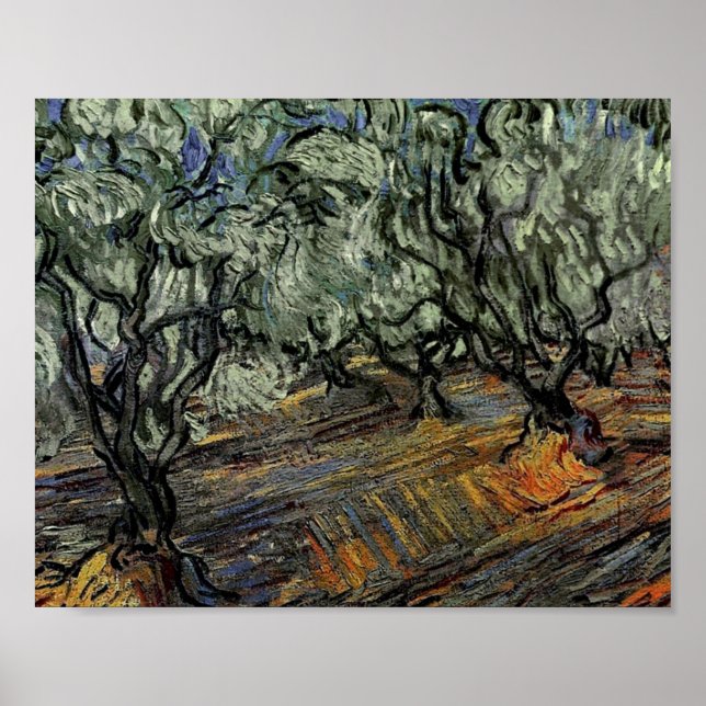 Olive Grove, Bright Blue Sky Van Gogh Fine Art Poster (Front)
