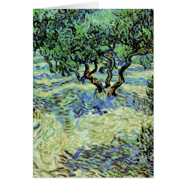 Olive Grove by Vincent van Gogh (Front)
