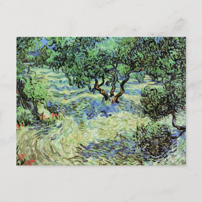 Olive Grove by Vincent van Gogh Postcard (Front)
