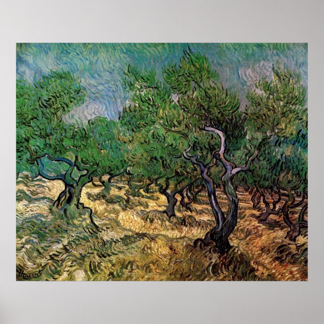Olive Grove by Vincent van Gogh Poster (Front)
