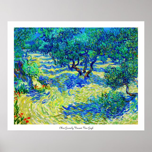 Olive Grove by Vincent Van Gogh Poster (Front)