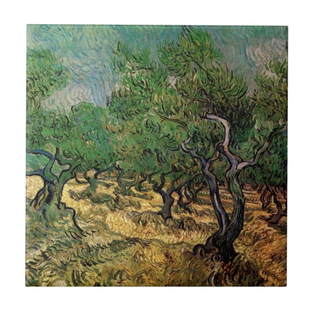 Olive Grove by Vincent van Gogh Tile (Front)