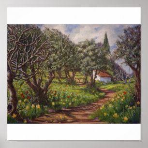 Olive Grove in Springtime Poster