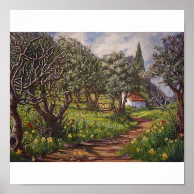 Olive Grove in Springtime Poster (Front)