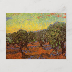 Olive Grove, Orange Sky by Vincent van Gogh Postcard