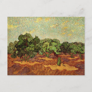 Olive Grove, Pale Blue Sky by Vincent van Gogh Postcard