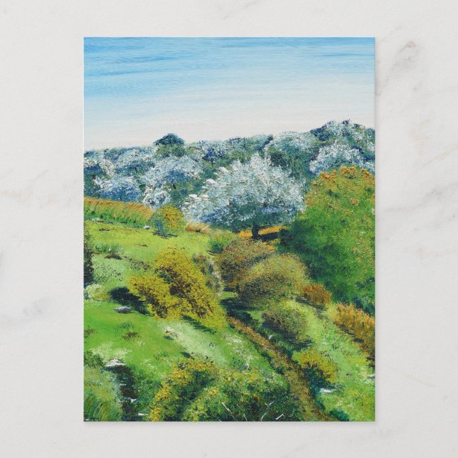 Olive Grove Postcard (Front)