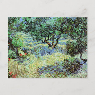 Olive Grove, Vincent van Gogh Postcard
