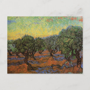 Olive Grove with Orange Sky, Vincent van Gogh Postcard